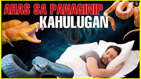 16 Kahulugan Kapag Nanaginip Ka Tungkol sa Mga Ahas.